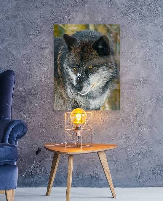 JBS 9093 by James Shedden Photography