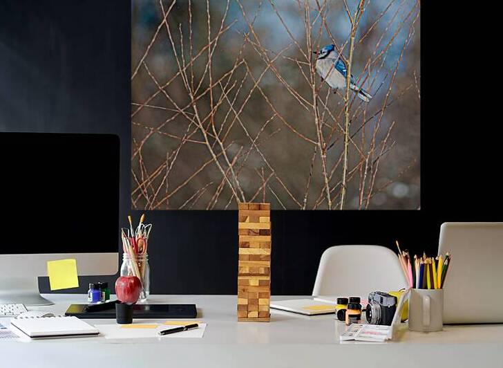 JBS 8279 by James Shedden Photography