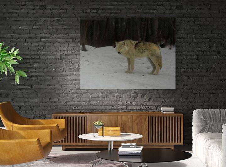 JBS 9056 by James Shedden Photography