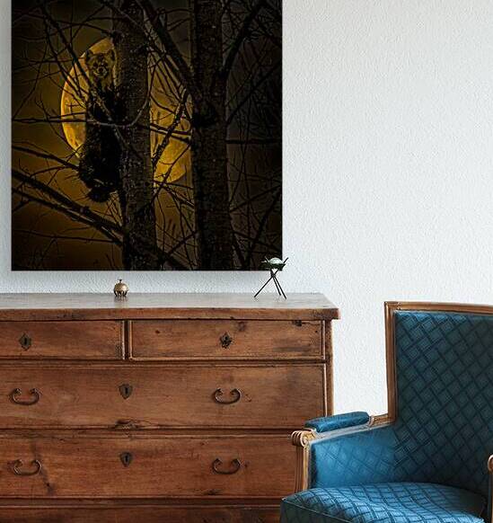 JBS 52971 by James Shedden Photography