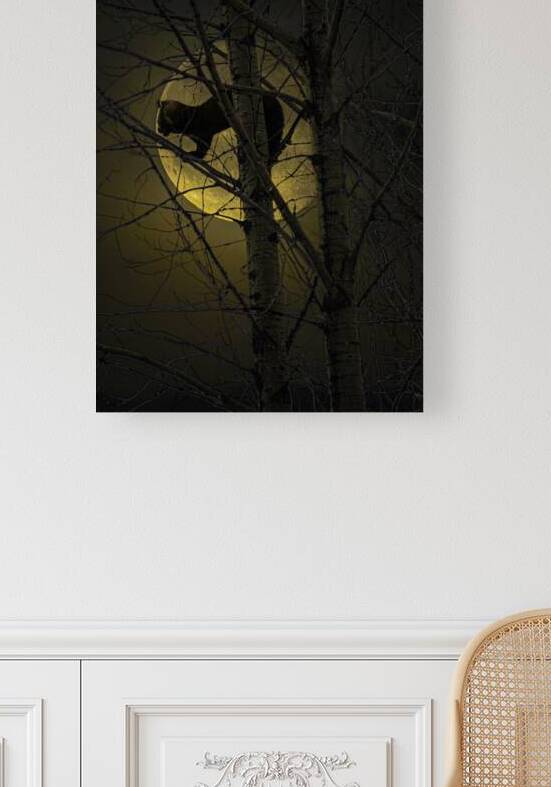 JBS 5294 2 by James Shedden Photography