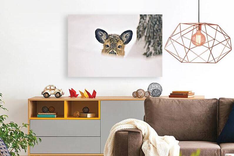 JBS 5691  by James Shedden Photography