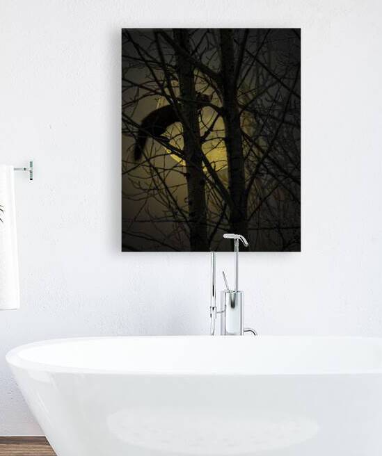 JBS 5295 by James Shedden Photography