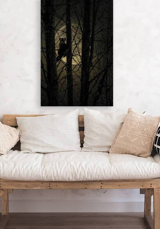 PINE MARTEN2 by James Shedden Photography