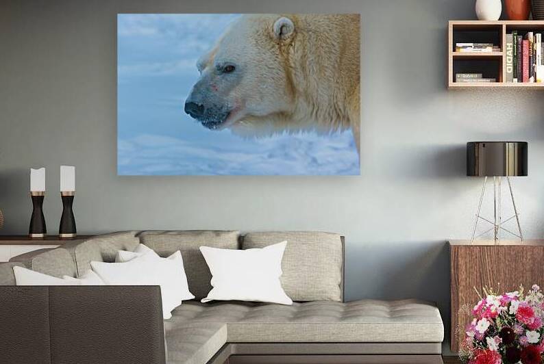 JBS 8465 by James Shedden Photography