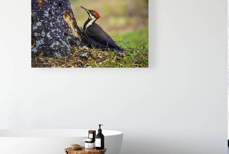 JBS 9742 by James Shedden Photography