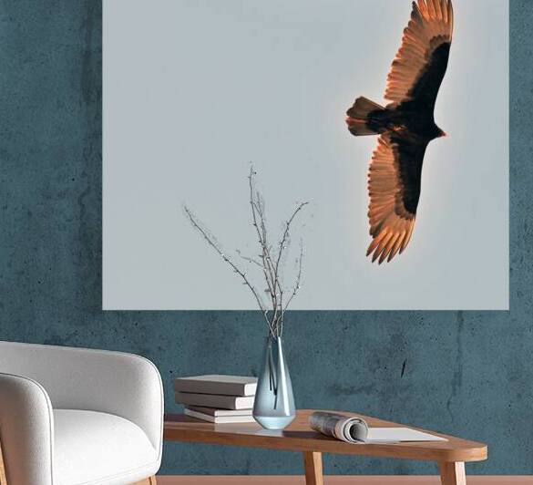 JBS 9485 2 by James Shedden Photography