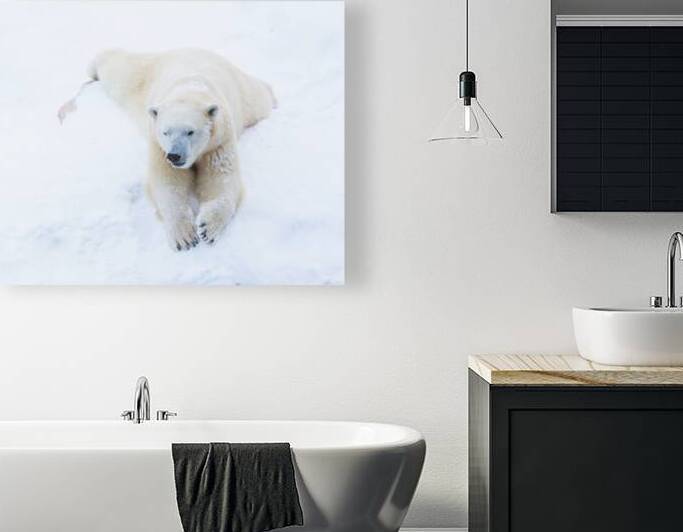 JBS 8373 by James Shedden Photography