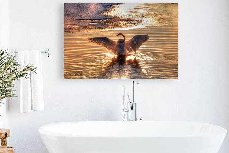 JBS 5877  by James Shedden Photography