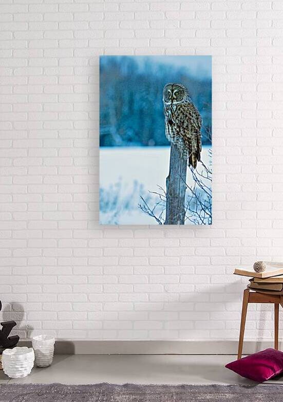 jbs 5420-2 by James Shedden Photography