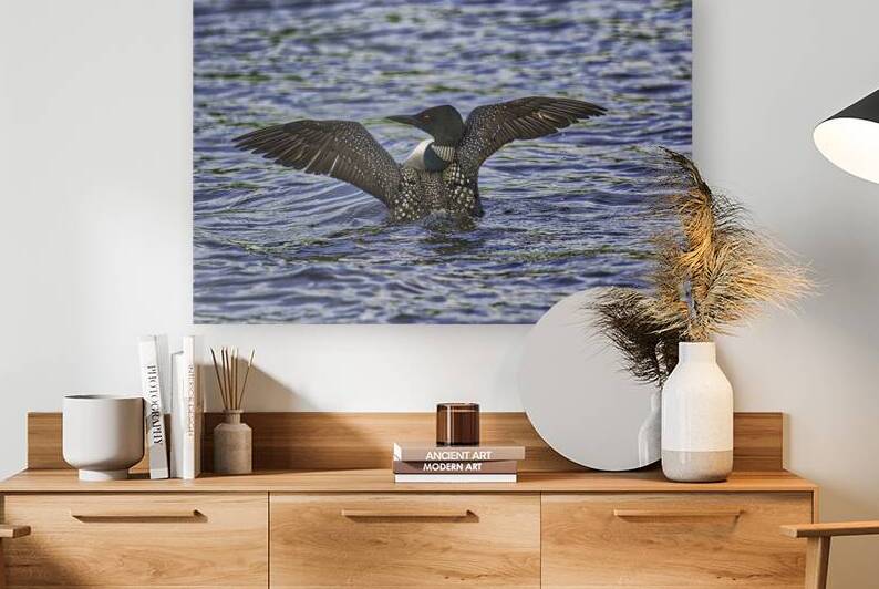 JBS 23852 by James Shedden Photography