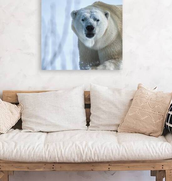 JBS 9392 by James Shedden Photography