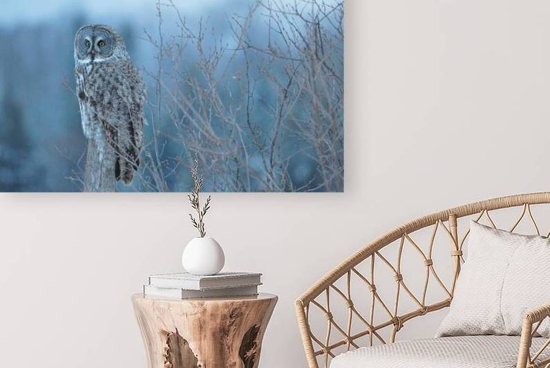 JBS 5393 by James Shedden Photography