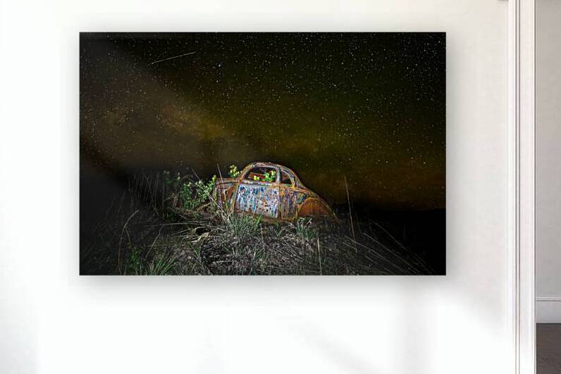 ZJS 9890 by James Shedden Photography