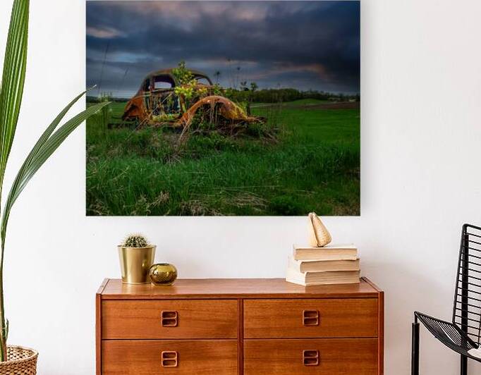 ZJS 9866 by James Shedden Photography