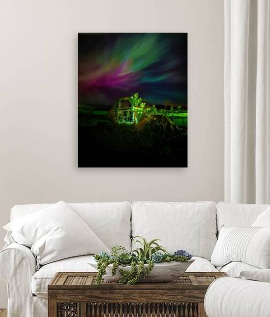 ZJS 9879 by James Shedden Photography