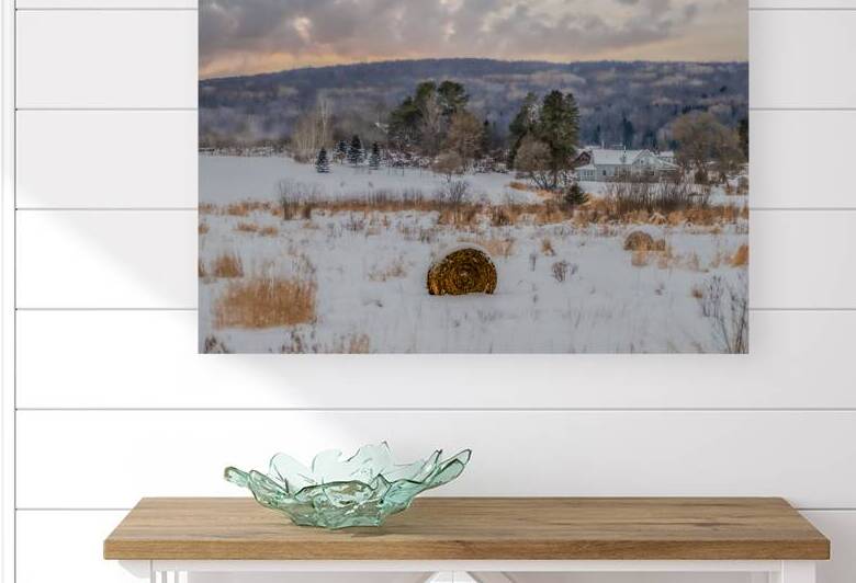 ZJS 9136 Edit 2 Edit by James Shedden Photography