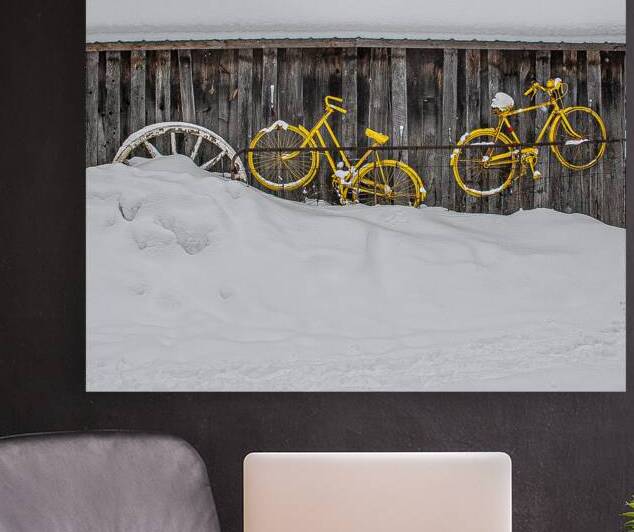 ZJS 9138 by James Shedden Photography