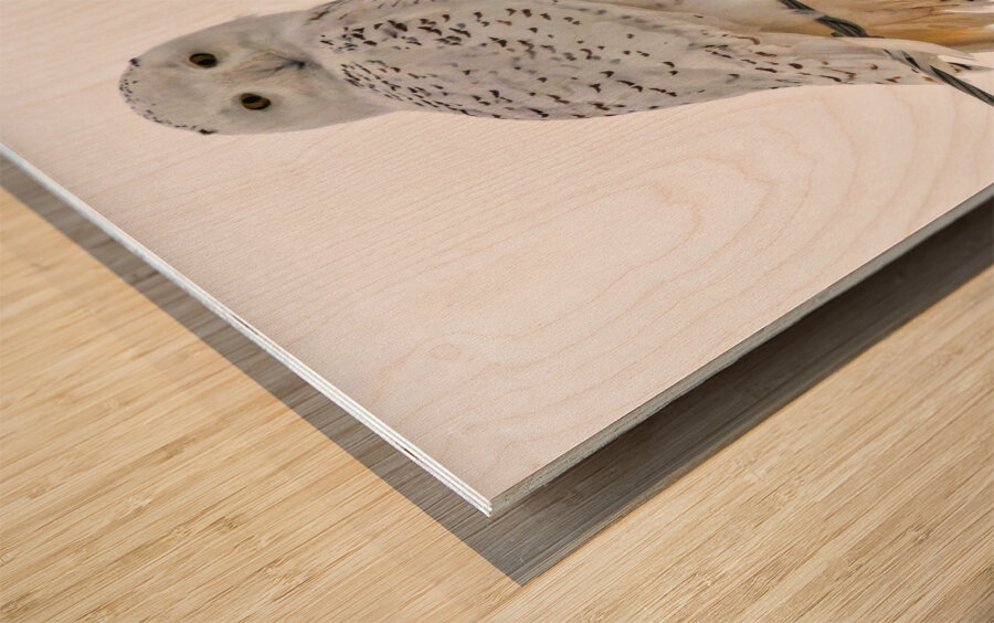 DSC 1876  Wood print