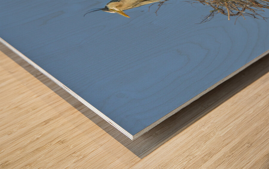 JBS 0860ED Wood print