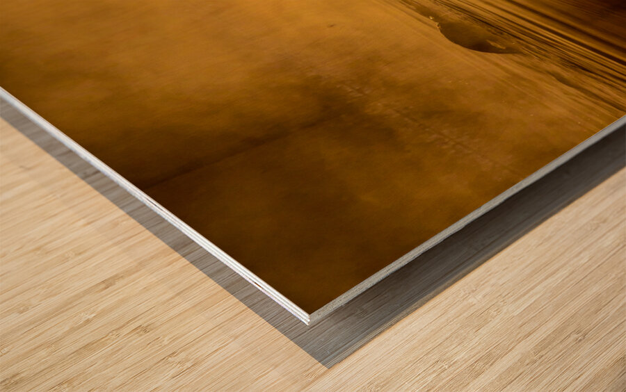 DSC 1717  Wood print