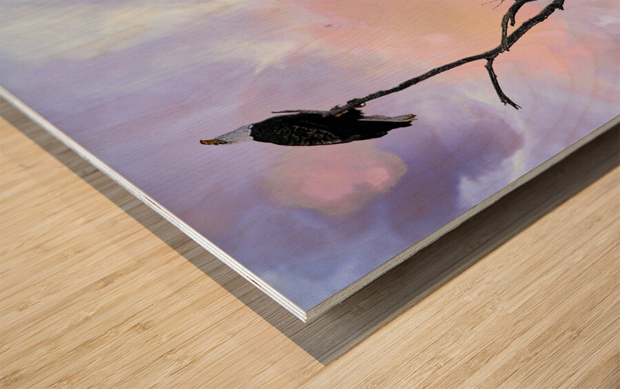 DSC 0357  Wood print