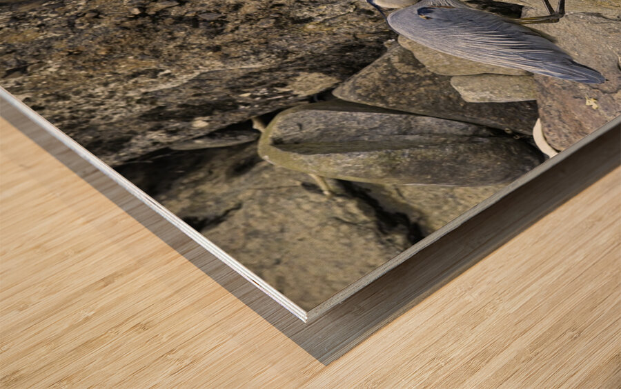 JBS 1629 2 Wood print