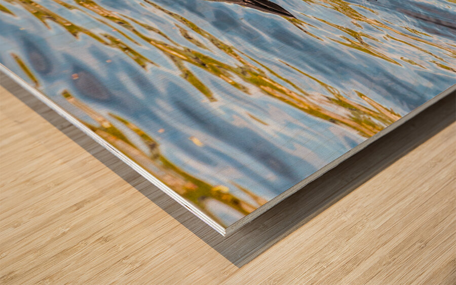 JBS 2192  Wood print