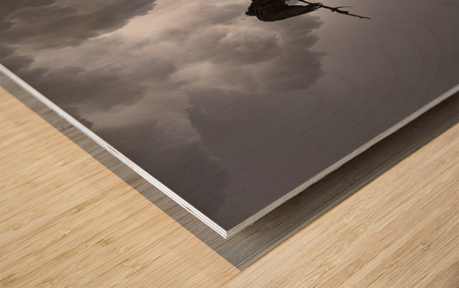 JBS 5291  Wood print