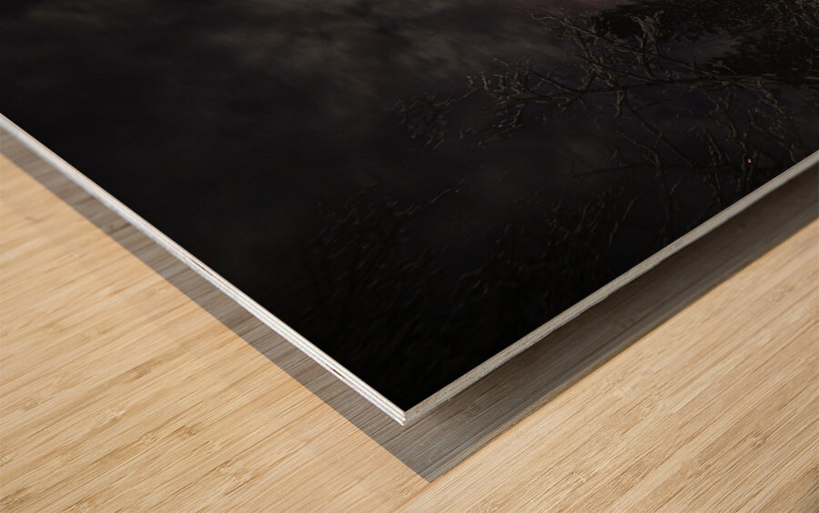 ZJS 6936  Wood print