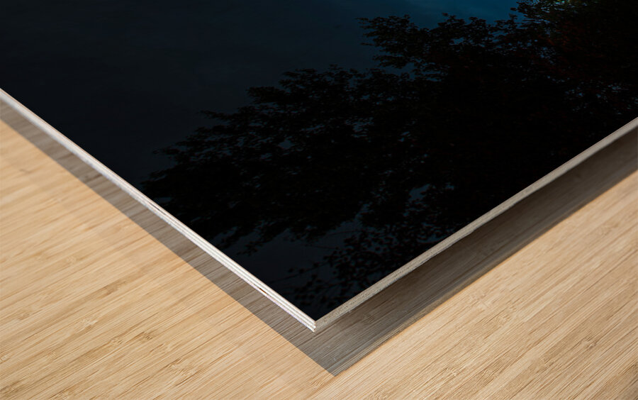 ZJS 8379  Wood print