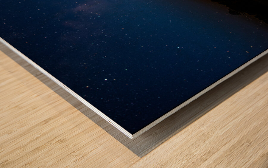 ZJS 8396  Wood print