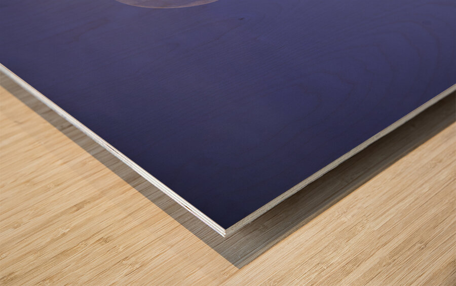 JBS 5264  Wood print