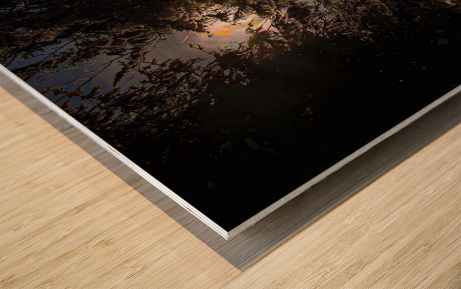 JBS 8757  Wood print