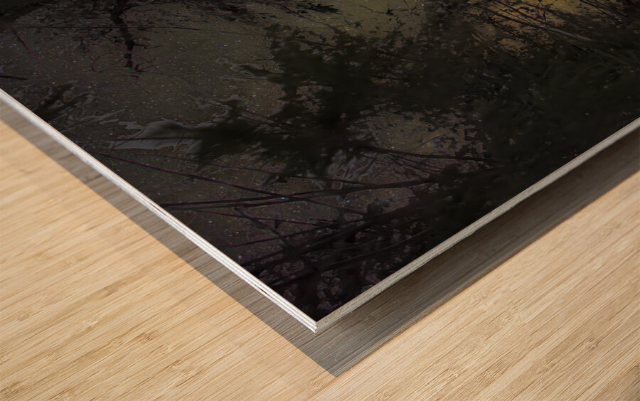 JBS 8747  Wood print