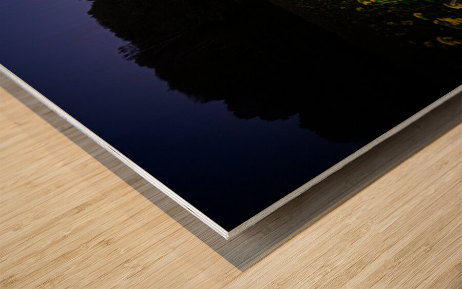 ZJS 8327  Wood print