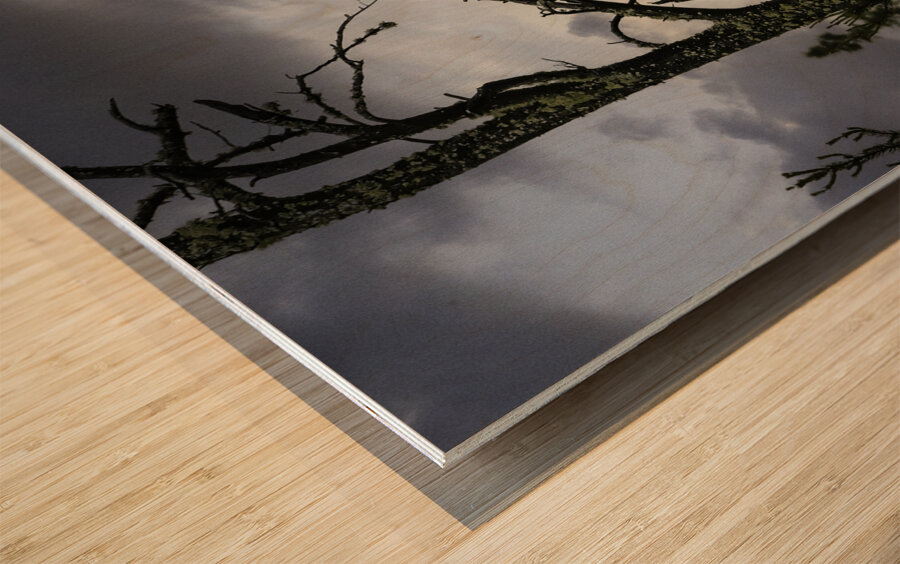 Eagle-Gogama Wood print