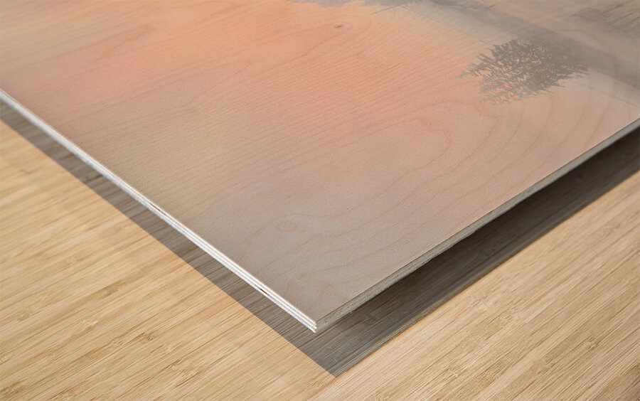 ZJS 8325  Wood print