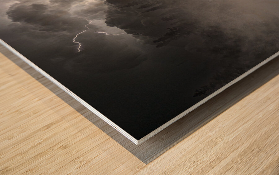 Swamp-winter Wood print