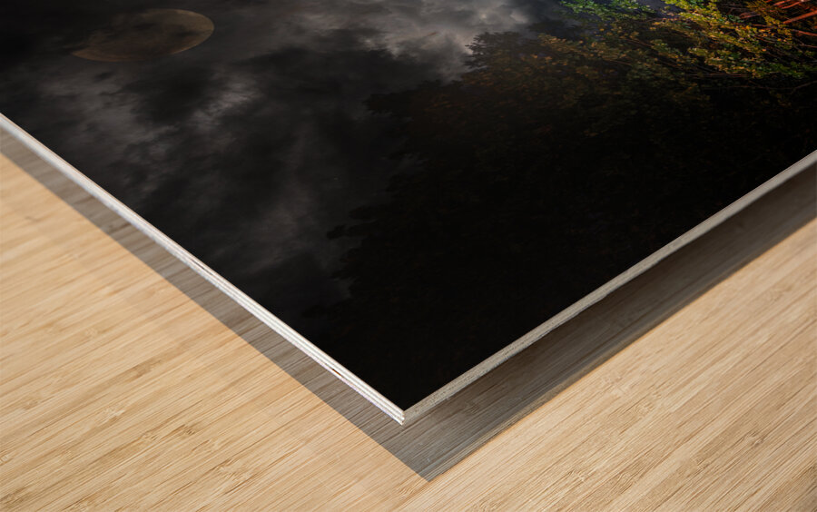 JBS 1582 Pano  Wood print