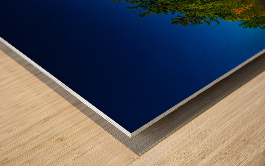 JBS 4806  Wood print