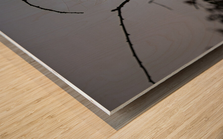 ZJS 8305  Wood print