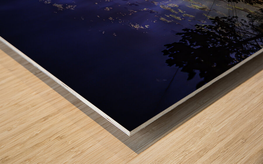 untitled 1 Wood print