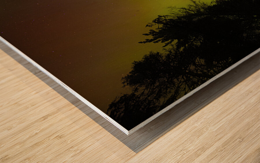 JBS 2069  Wood print