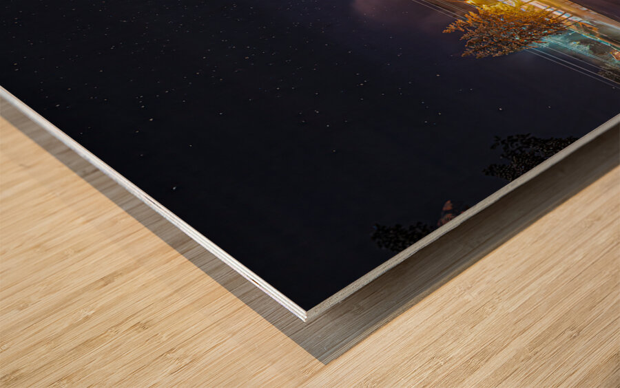 ZJS 6457  Wood print