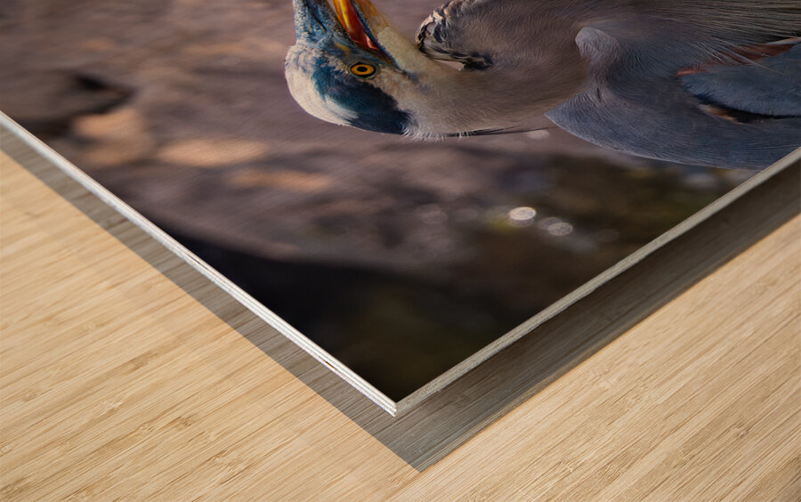 JBS 3493 2 Wood print