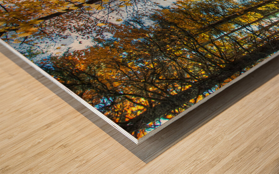 JBS 7125  Wood print