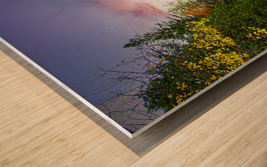 ZJS 5785  Wood print