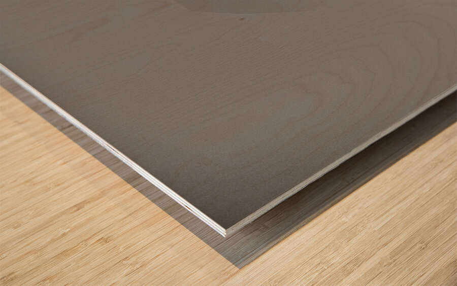 JBS 7690  Wood print