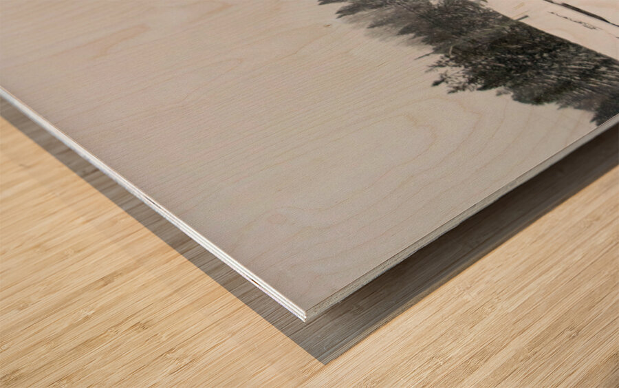 JBS 7558  Wood print